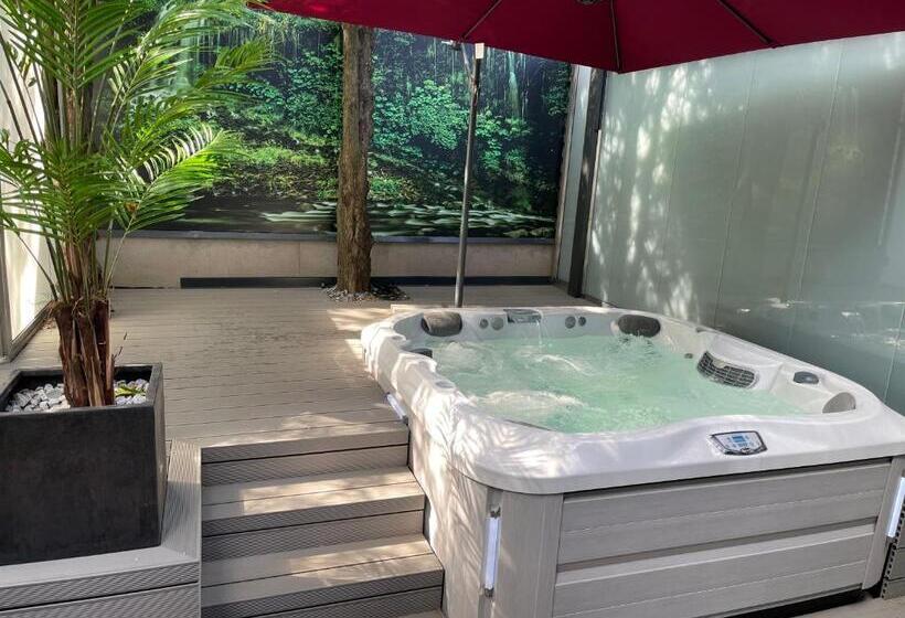 اتاق استاندارد با وان آب گرم, Arena Deluxe & Spa