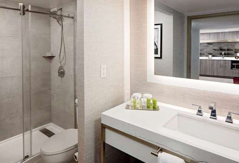 Suíte Deluxe, Embassy Suites By Hilton Dallas Dfw Airport North
