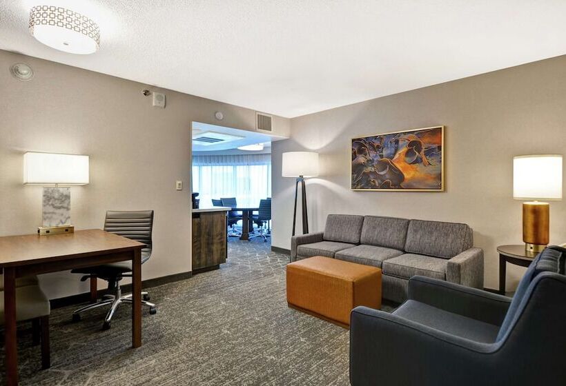 Люкс, Embassy Suites By Hilton Minneapolisairport