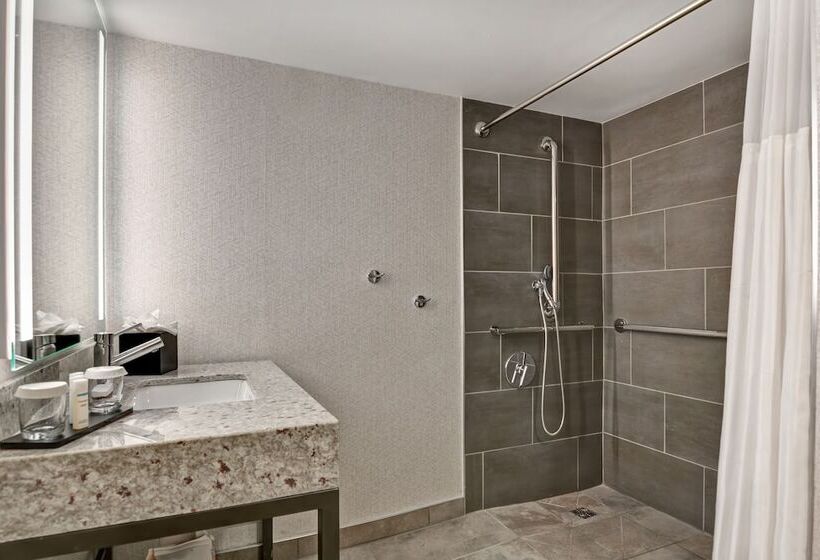Люкс, Embassy Suites By Hilton Minneapolisairport