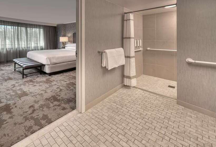 Номер Стандарт, Embassy Suites By Hilton Minneapolisairport