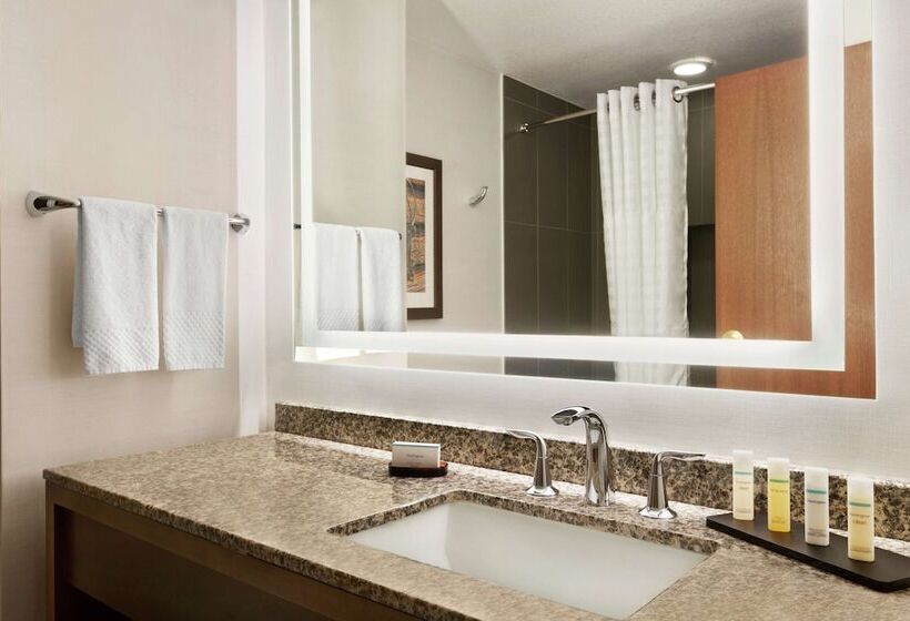 Suíte Premium, Embassy Suites By Hilton Dallas Dfw Airport North