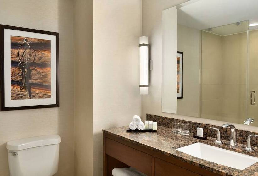 Suíte Deluxe, Embassy Suites By Hilton Dallas Dfw Airport North