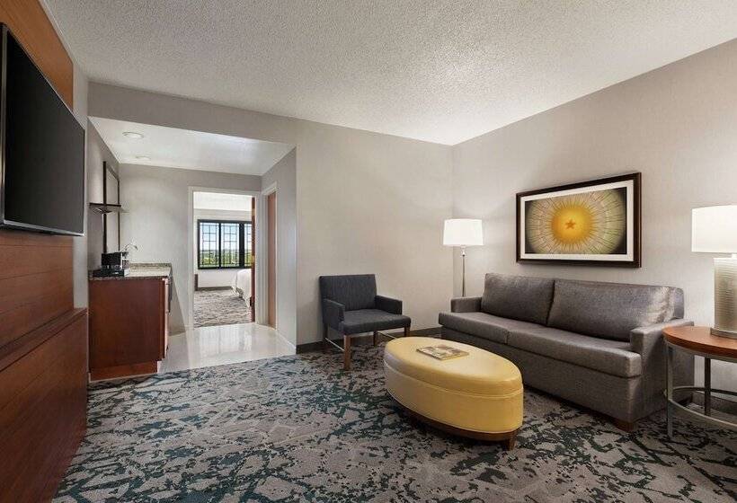 Suíte Deluxe Cama King, Embassy Suites By Hilton Dallas Dfw Airport North