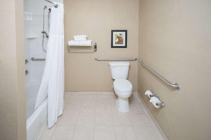 스탠다드 룸 킹사이즈 침대, Hilton Garden Inn Lexington Georgetown