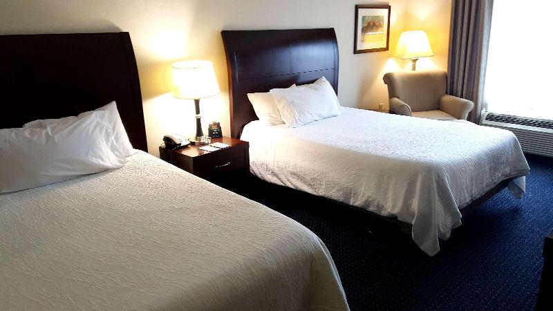 스탠다드 룸 킹사이즈 침대, Hilton Garden Inn Lexington Georgetown