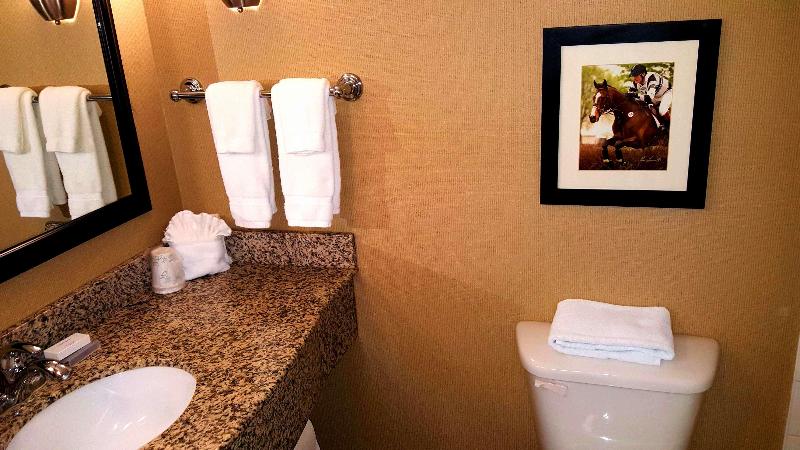 이그제큐티브 스위트 킹침대, Hilton Garden Inn Lexington Georgetown