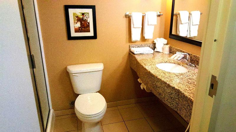 اتاق استاندارد با تخت دو نفره بزرگ, Hilton Garden Inn Lexington Georgetown