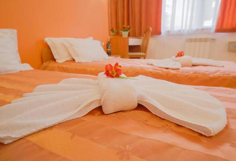 استودیوی استاندارد, Apart Hotel Flora Residence Daisy