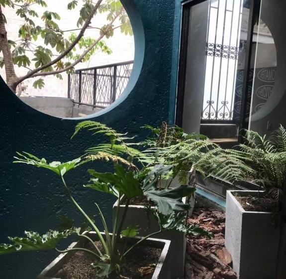 آپارتمان 1 خوابه همکف, Soy Local Primavera