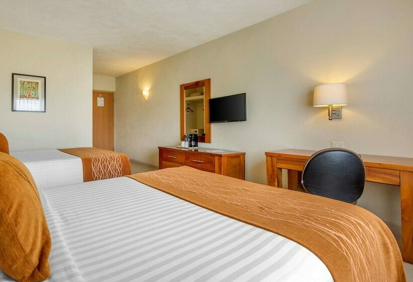 اتاق استاندارد با 2 تخت دوبل, Comfort Inn Puerto Vallarta Golfside & Marina