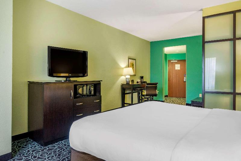 스위트 킹사이즈 침대, Hampton Inn By Hilton Tampa Fairgrounds Casino
