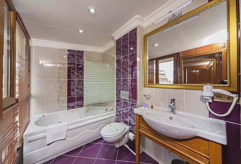 سوئیت با تخت بزرگ, Lausos Hotel Sultanahmet