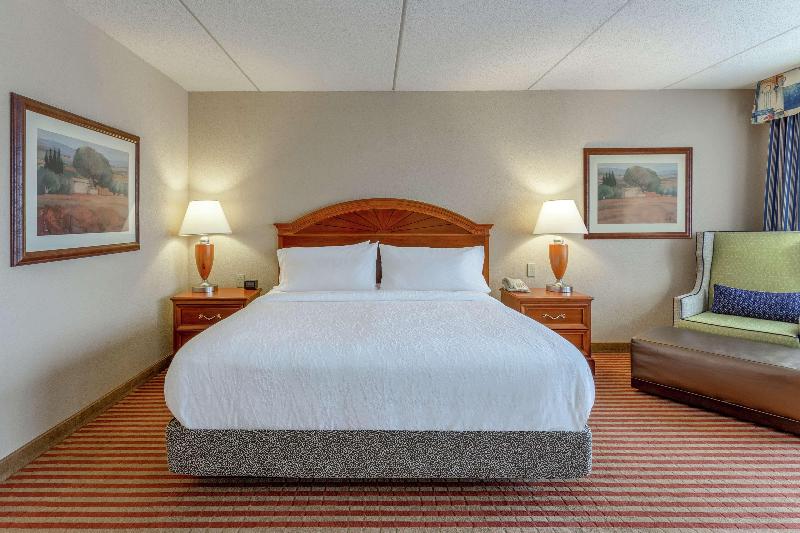 Стандартный Номер Кровать Кинг, Hilton Garden Inn Richmond South/southpark