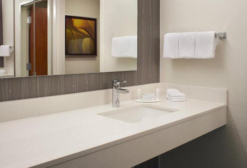 سوئیت با تخت بزرگ, Courtyard Kansas City Overland Park/convention Center