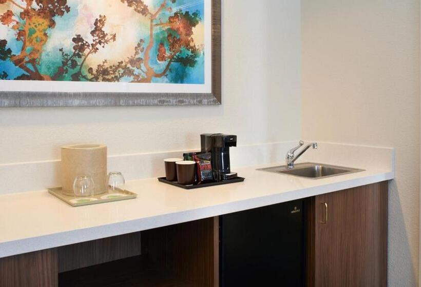 سوئیت با تخت بزرگ, Courtyard Kansas City Overland Park/convention Center
