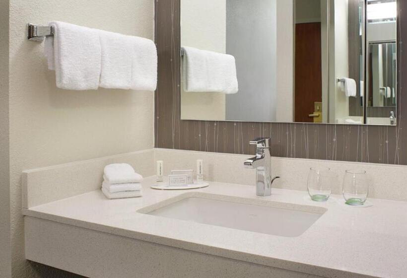 اتاق استاندارد با تخت بزرگ برای معلولان, Courtyard Kansas City Overland Park/convention Center