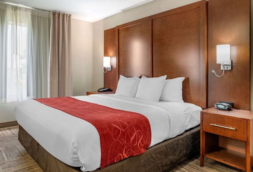 스위트, Comfort Suites Urbana Champaign, University Area