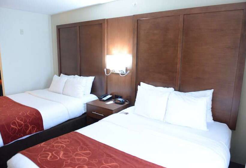 스위트, Comfort Suites Urbana Champaign, University Area