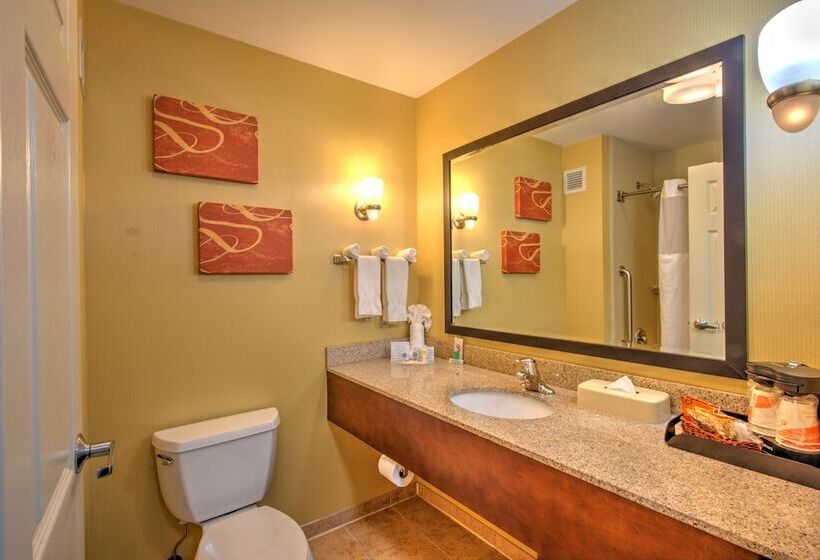 장애인을 위한 스위트, Comfort Suites Urbana Champaign, University Area