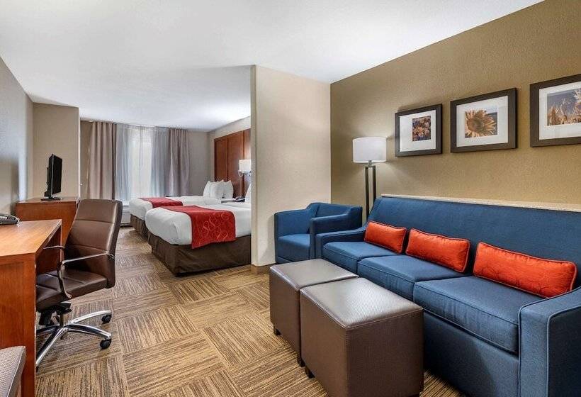 장애인을 위한 스위트, Comfort Suites Urbana Champaign, University Area