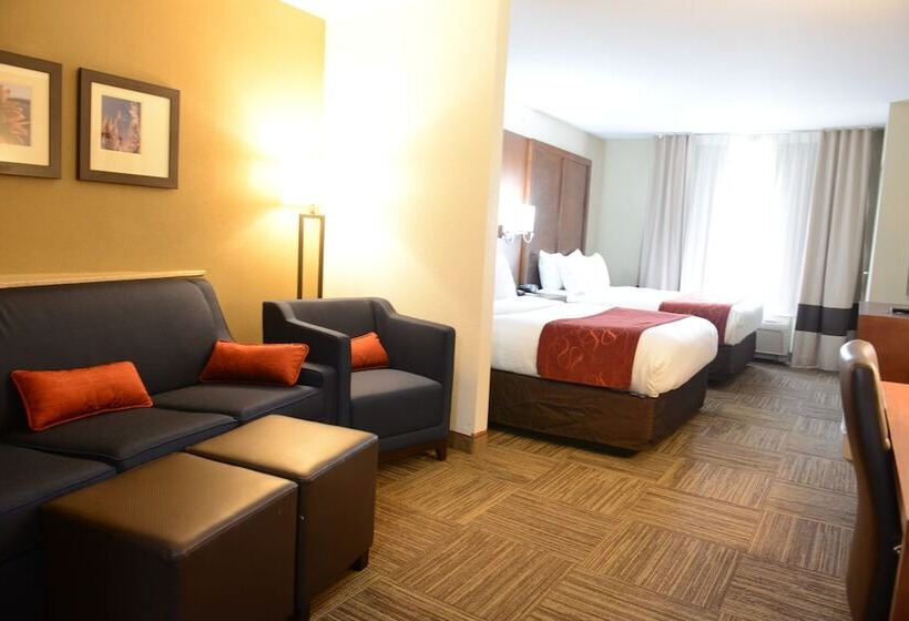 장애인을 위한 스위트, Comfort Suites Urbana Champaign, University Area