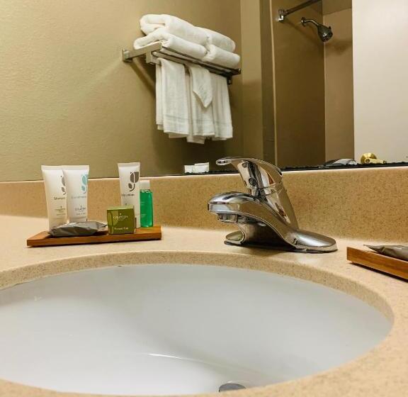 Люкс Кровать Кинг, Country Inn & Suites By Radisson, Ithaca, Ny