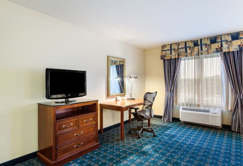 Номер Стандарт Адаптированный для Инвалидов, Hilton Garden Inn Suffolk Riverfront