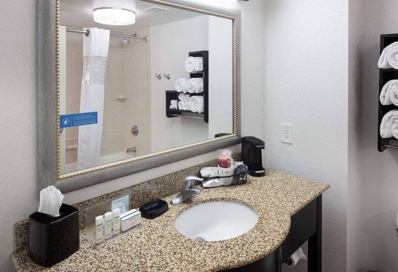 Студия Стандарт, Hampton Inn & Suites Gainesvilledowntown