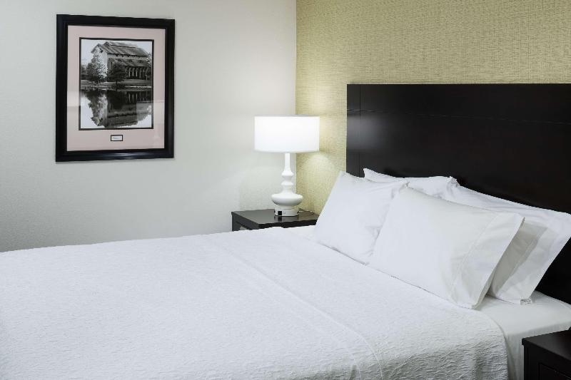 Стандартный Номер Кровать Кинг, Hampton Inn & Suites Gainesvilledowntown