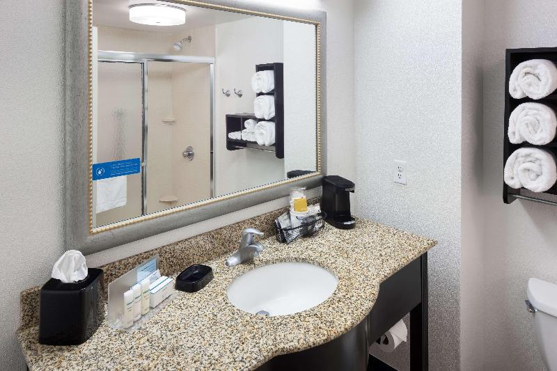스탠다드 룸 킹사이즈 침대, Hampton Inn & Suites Gainesvilledowntown