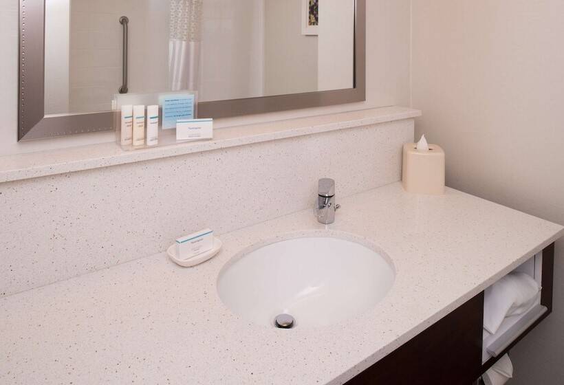 Стандартный Номер Кровать Кинг, Hampton Inn & Suites Schertz