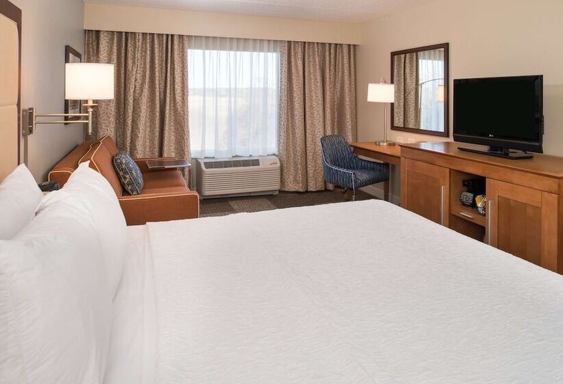 Стандартный Номер Кровать Кинг, Hampton Inn & Suites Schertz