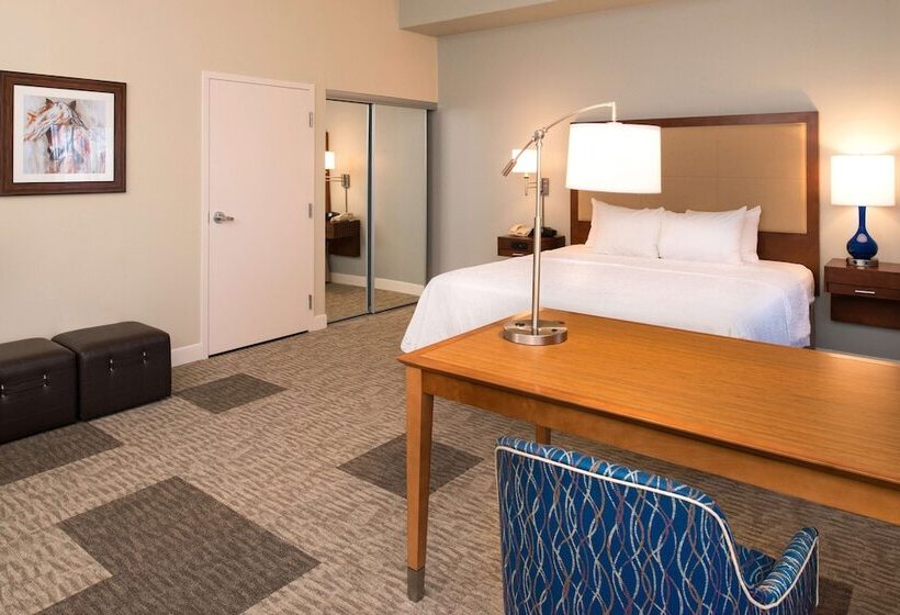 Номер Стандарт, Hampton Inn & Suites Schertz