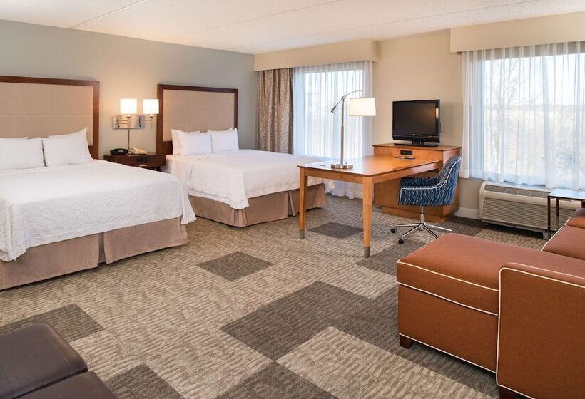 Номер Стандарт, Hampton Inn & Suites Schertz