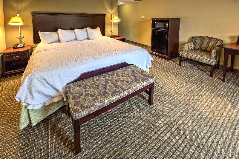 Стандартный Номер Кровать Кинг, Hampton Inn Rochesterirondequoit
