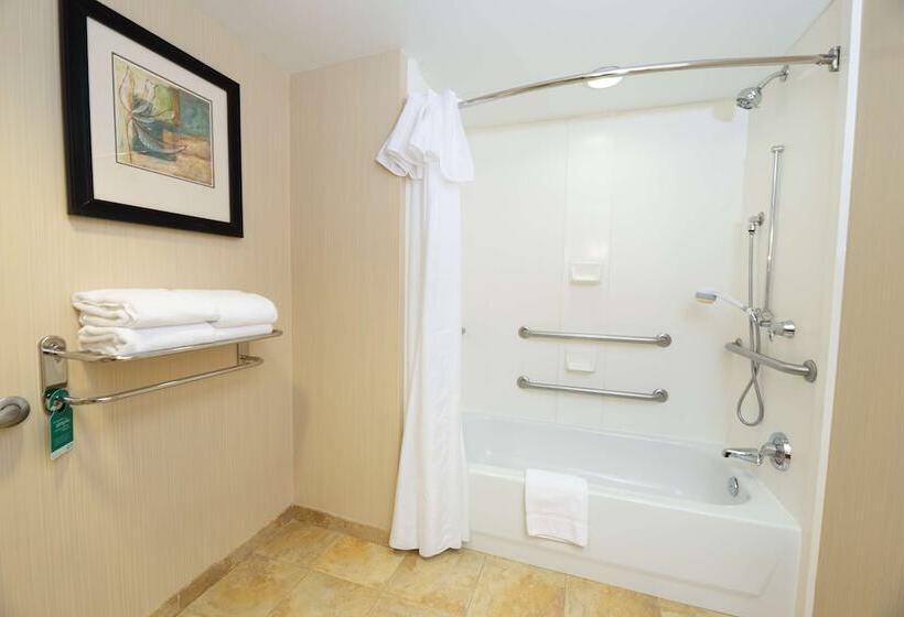Люкс Адаптированный для Инвалидов, Homewood Suites By Hilton Lawrenceville Duluth