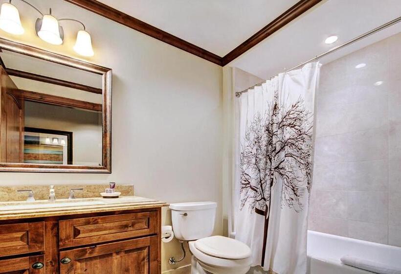 Апартаменты 4 Спальни, The Vail Collection At The Ritz Carlton Residences Vail
