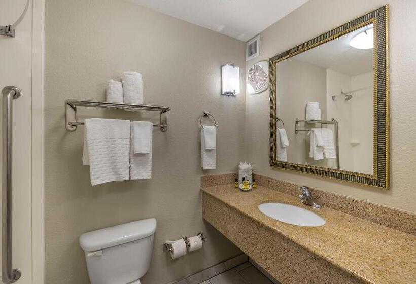 اتاق استاندارد با تخت بزرگ, Best Western Plus Henderson