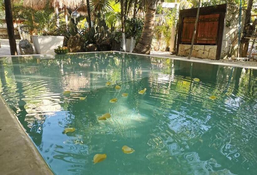 Quarto Superior com Vistas, Be Tulum