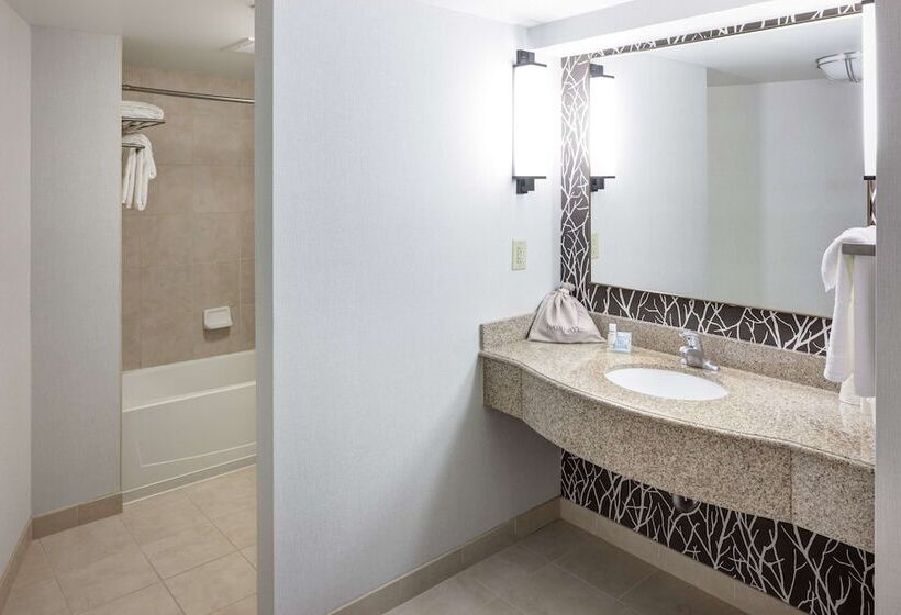 Standard-huone, Hilton Garden Inn Nashville Vanderbilt