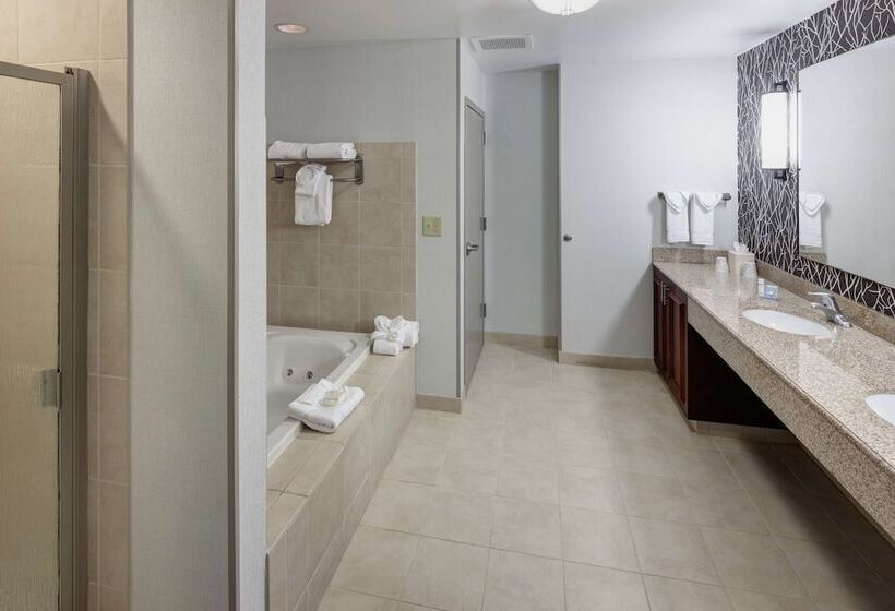 Sviitti, Hilton Garden Inn Nashville Vanderbilt
