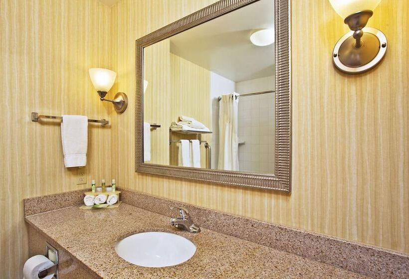 标准间, Holiday Inn Express Hotel & Suites Anderson, An Ihg