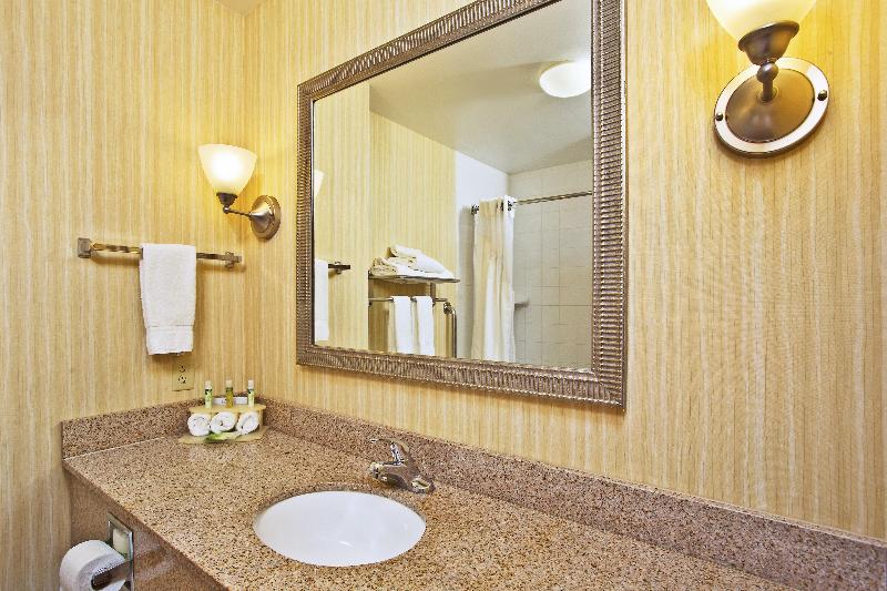 带大床的套房, Holiday Inn Express Hotel & Suites Anderson, An Ihg