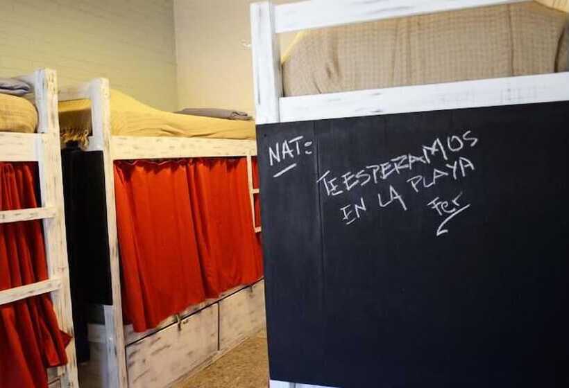 تختخواب در اتاق مشترک, Pastora Suites & Hostel   Punta Del Este