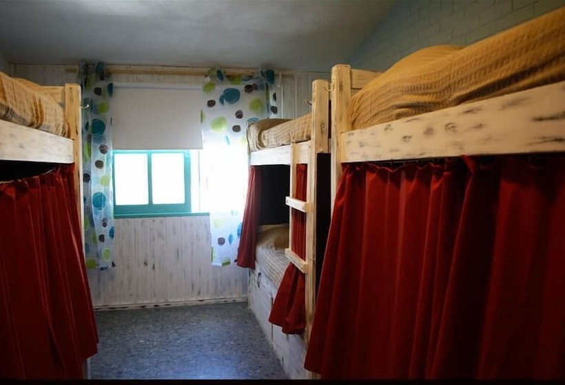 تختخواب در اتاق مشترک, Pastora Suites & Hostel   Punta Del Este