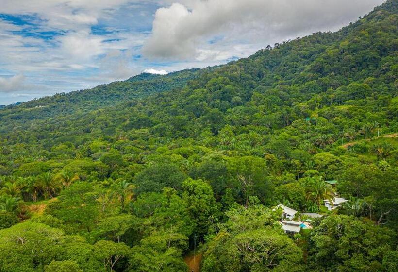 بانگلوی لوکس, The Sutton   Boutique Jungle Experience