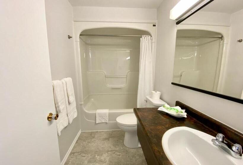 Студия Стандарт, New Age Inn   Voyageur
