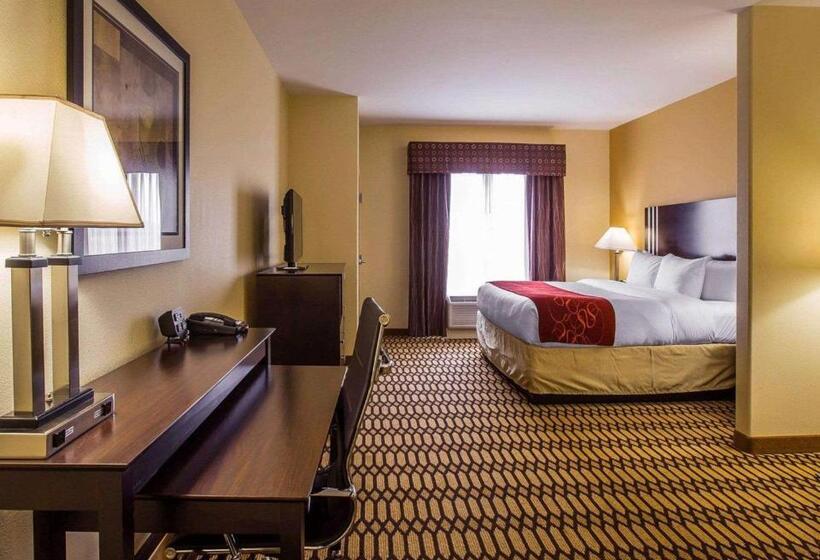 Люкс Адаптированный для Инвалидов, Comfort Suites Simpsonville   Greenville