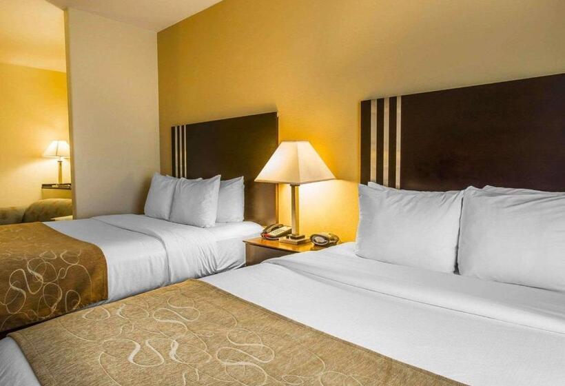 Люкс Адаптированный для Инвалидов, Comfort Suites Simpsonville   Greenville